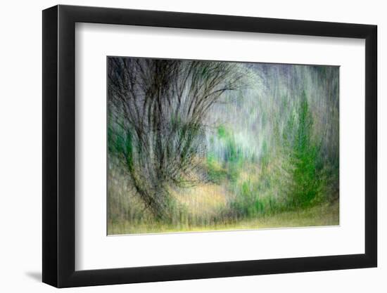 Spring Dance-Ursula Abresch-Framed Photographic Print