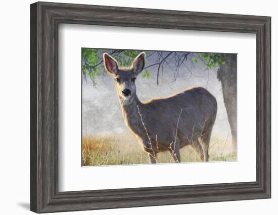 Spring Doe-Chris Vest-Framed Art Print