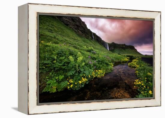 Spring Drama and Wildflowers, Seljalandsfoss, Iceland-Vincent James-Framed Premier Image Canvas