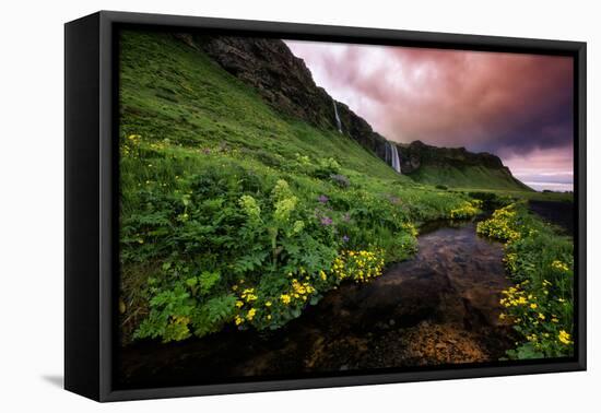 Spring Drama and Wildflowers, Seljalandsfoss, Iceland-Vincent James-Framed Premier Image Canvas