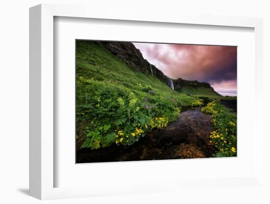 Spring Drama and Wildflowers, Seljalandsfoss, Iceland-Vincent James-Framed Photographic Print