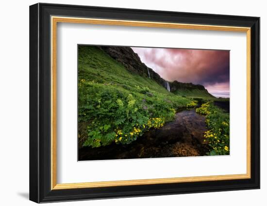 Spring Drama and Wildflowers, Seljalandsfoss, Iceland-Vincent James-Framed Photographic Print