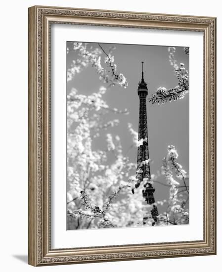 Spring Eiffel BW-Tracey Telik-Framed Photographic Print