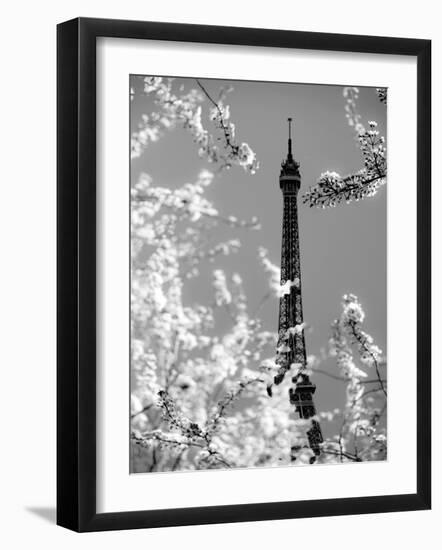 Spring Eiffel BW-Tracey Telik-Framed Photographic Print