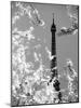 Spring Eiffel BW-Tracey Telik-Mounted Photographic Print