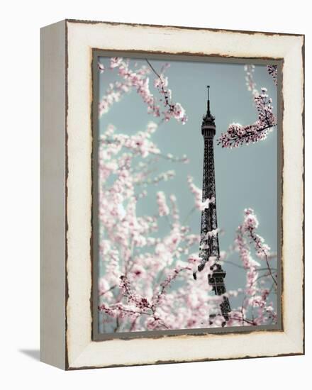 Spring Eiffel Pastel-Tracey Telik-Framed Premier Image Canvas