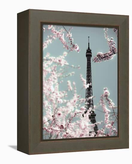 Spring Eiffel Pastel-Tracey Telik-Framed Premier Image Canvas