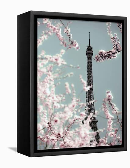 Spring Eiffel Pastel-Tracey Telik-Framed Premier Image Canvas