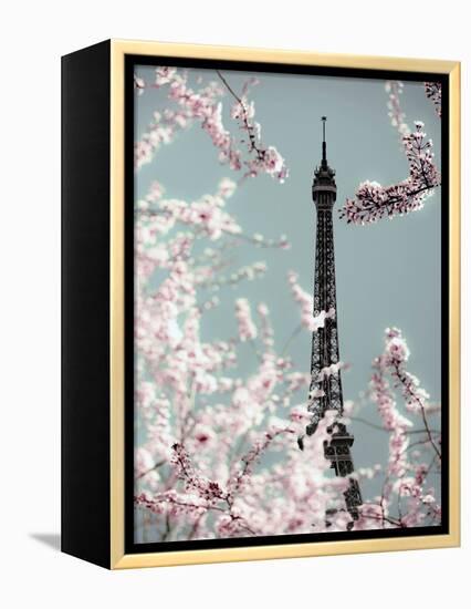 Spring Eiffel Pastel-Tracey Telik-Framed Premier Image Canvas