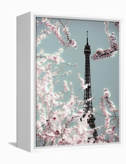 Spring Eiffel Pastel-Tracey Telik-Framed Premier Image Canvas