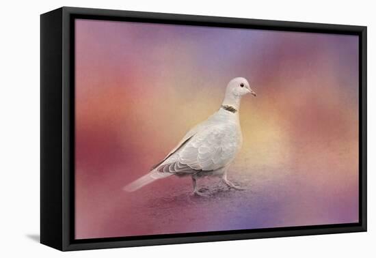 Spring Eurasian Collared Dove-Jai Johnson-Framed Premier Image Canvas