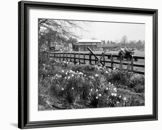 Spring Farming Scene-null-Framed Photographic Print