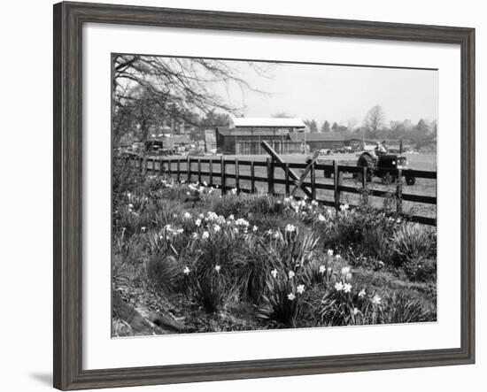 Spring Farming Scene-null-Framed Photographic Print