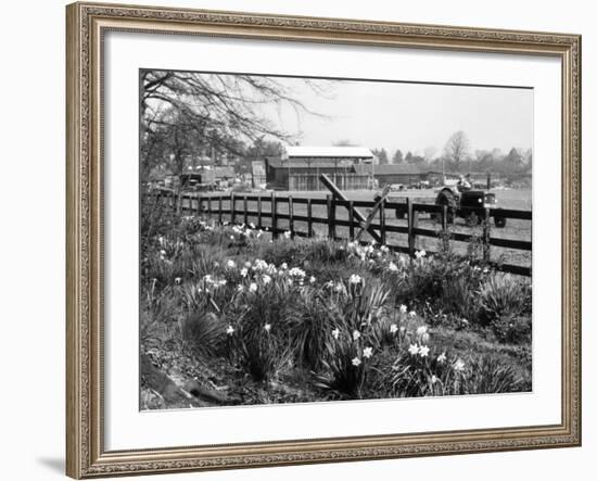 Spring Farming Scene-null-Framed Photographic Print