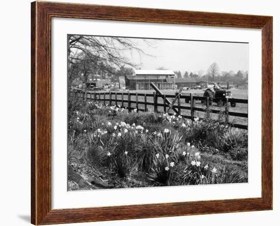 Spring Farming Scene-null-Framed Photographic Print