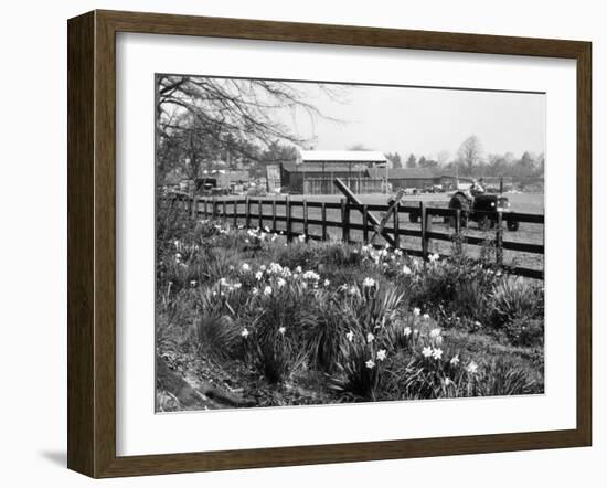 Spring Farming Scene-null-Framed Photographic Print