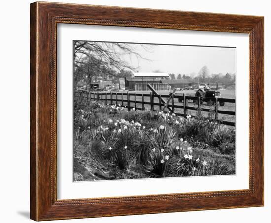 Spring Farming Scene-null-Framed Photographic Print