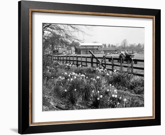 Spring Farming Scene-null-Framed Photographic Print