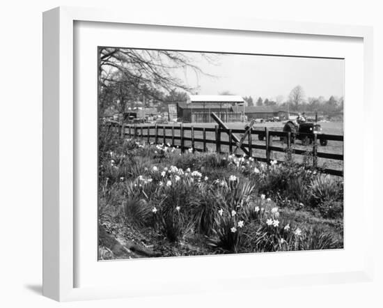 Spring Farming Scene-null-Framed Photographic Print