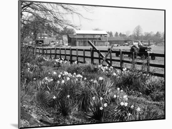 Spring Farming Scene-null-Mounted Photographic Print