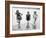 Spring Fashion, 1924-Science Source-Framed Giclee Print