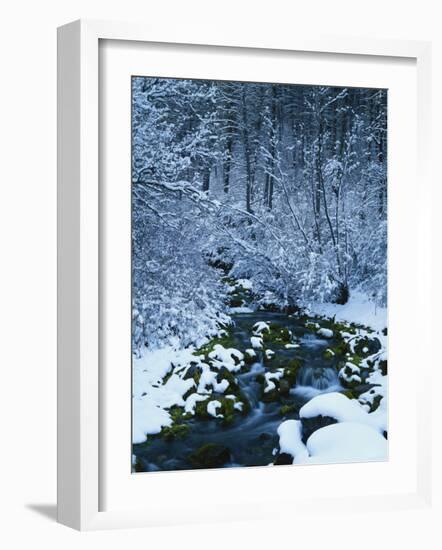 Spring-Fed Creek in Winter, Wasatch-Catch National Forest, Utah, USA-Scott T^ Smith-Framed Photographic Print
