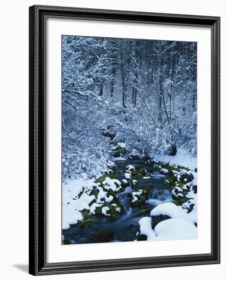 Spring-Fed Creek in Winter, Wasatch-Catch National Forest, Utah, USA-Scott T^ Smith-Framed Photographic Print