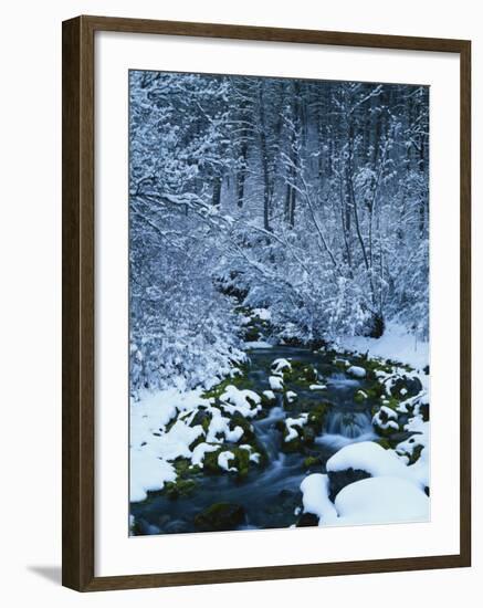 Spring-Fed Creek in Winter, Wasatch-Catch National Forest, Utah, USA-Scott T^ Smith-Framed Photographic Print