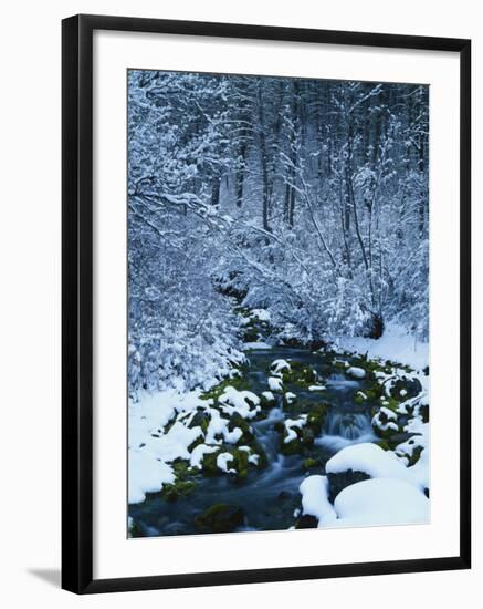 Spring-Fed Creek in Winter, Wasatch-Catch National Forest, Utah, USA-Scott T^ Smith-Framed Photographic Print