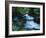 Spring-Fed Stream in Spring Hollow, Wasatch-Cache National Forest, Utah, USA-Scott T. Smith-Framed Photographic Print