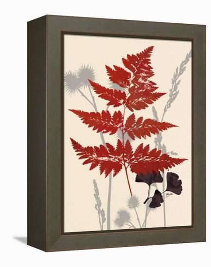 Spring Fern 1-Bella Dos Santos-Framed Stretched Canvas