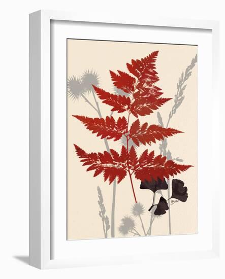 Spring Fern 1-Bella Dos Santos-Framed Art Print