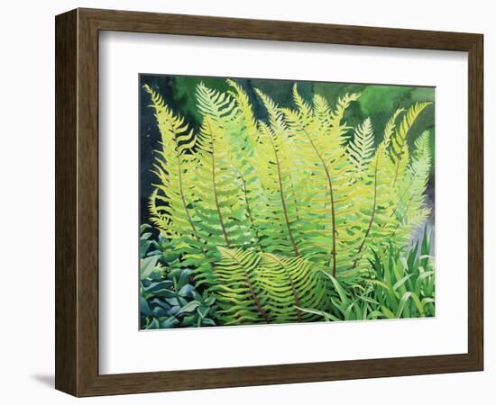 Spring Fern-Christopher Ryland-Framed Giclee Print