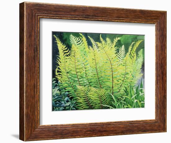 Spring Fern-Christopher Ryland-Framed Giclee Print