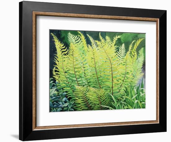 Spring Fern-Christopher Ryland-Framed Giclee Print