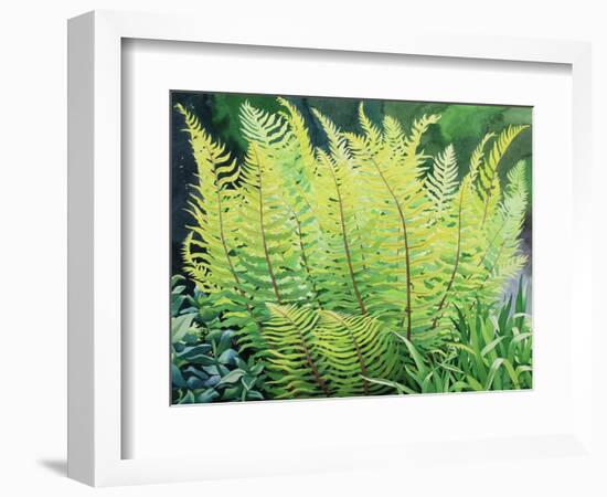 Spring Fern-Christopher Ryland-Framed Giclee Print