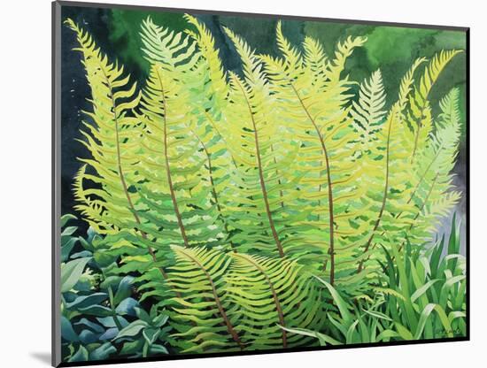 Spring Fern-Christopher Ryland-Mounted Giclee Print