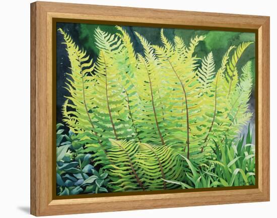 Spring Fern-Christopher Ryland-Framed Premier Image Canvas