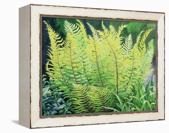 Spring Fern-Christopher Ryland-Framed Premier Image Canvas