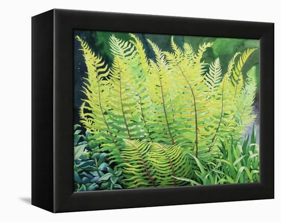 Spring Fern-Christopher Ryland-Framed Premier Image Canvas