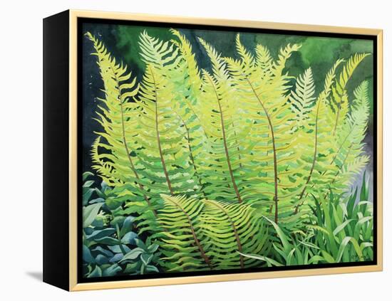 Spring Fern-Christopher Ryland-Framed Premier Image Canvas