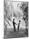 Premium Photographic Print