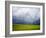 Spring Field of Peas with Storm Coming-Terry Eggers-Framed Photographic Print