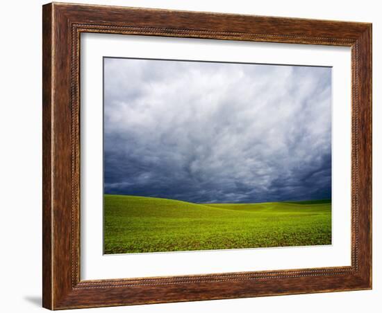 Spring Field of Peas with Storm Coming-Terry Eggers-Framed Photographic Print