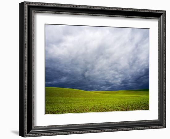 Spring Field of Peas with Storm Coming-Terry Eggers-Framed Photographic Print