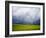 Spring Field of Peas with Storm Coming-Terry Eggers-Framed Photographic Print