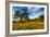 Spring Field & Tree Central California Wildflowers Oak Tree-Vincent James-Framed Photographic Print