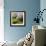 Spring Field-Lou Wall-Framed Giclee Print displayed on a wall