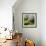 Spring Field-Lou Wall-Framed Giclee Print displayed on a wall