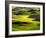 Spring fields of wheat, peas and barley-Terry Eggers-Framed Photographic Print